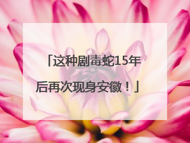 这种剧毒蛇15年后再次现身安徽！