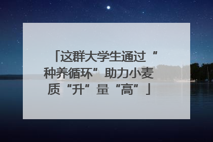 这群大学生通过“种养循环”助力小麦质“升”量“高”