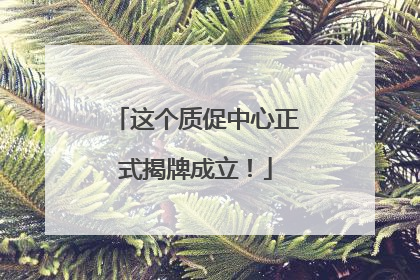 这个质促中心正式揭牌成立！