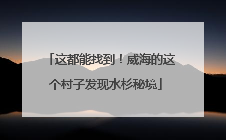 这都能找到！威海的这个村子发现水杉秘境
