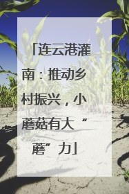连云港灌南：推动乡村振兴，小蘑菇有大“蘑”力