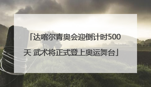 达喀尔青奥会迎倒计时500天 武术将正式登上奥运舞台