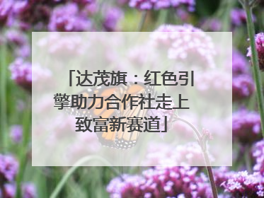 达茂旗：红色引擎助力合作社走上致富新赛道