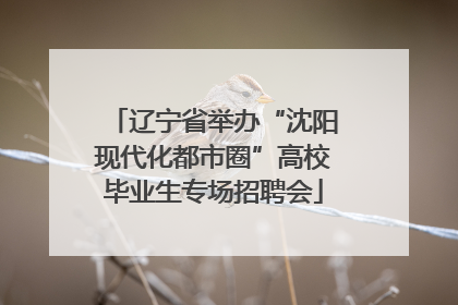 辽宁省举办“沈阳现代化都市圈”高校毕业生专场招聘会