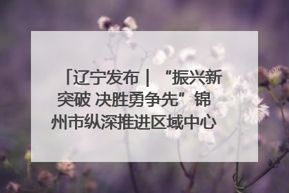 辽宁发布｜“振兴新突破 决胜勇争先”锦州市纵深推进区域中心城市建设 打造高质量发展新增长极