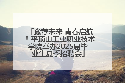 豫荐未来 青春启航！平顶山工业职业技术学院举办2025届毕业生夏季招聘会