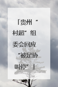 贵州“村超”组委会回应“被足协叫停”
