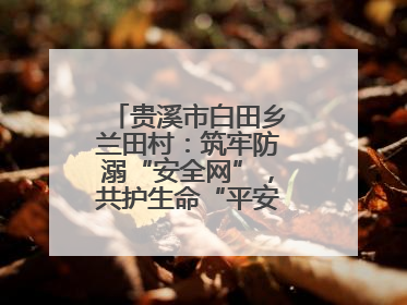 贵溪市白田乡兰田村：筑牢防溺“安全网”，共护生命“平安线”（图）