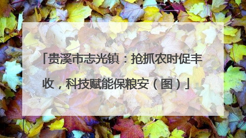 贵溪市志光镇：抢抓农时促丰收，科技赋能保粮安（图）