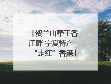 贺兰山牵手香江畔 宁夏特产“走红”香港