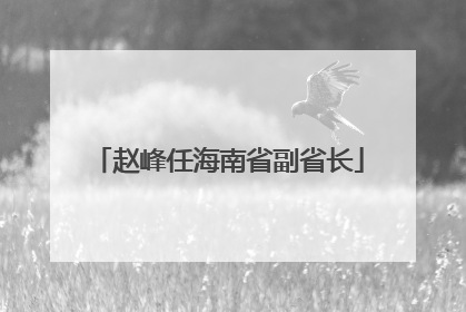 赵峰任海南省副省长