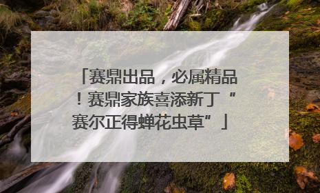 赛鼎出品，必属精品！赛鼎家族喜添新丁“赛尔正得蝉花虫草”