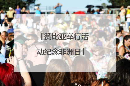 赞比亚举行活动纪念非洲日