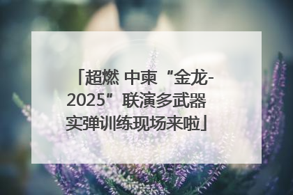 超燃 中柬“金龙-2025”联演多武器实弹训练现场来啦