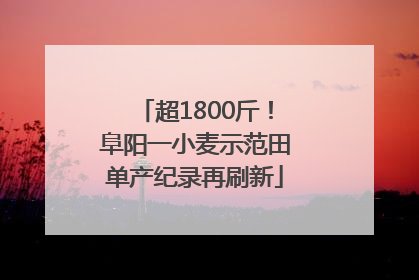 超1800斤！阜阳一小麦示范田单产纪录再刷新