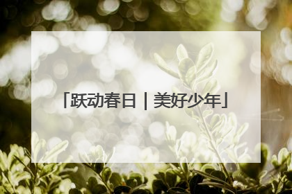 跃动春日｜美好少年