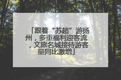 跟着“苏超”游扬州，多重福利迎客流，文旅名城接待游客量同比激增