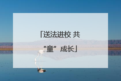 送法进校 共“童”成长