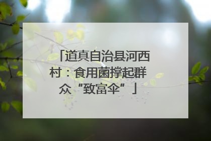 道真自治县河西村：食用菌撑起群众“致富伞”