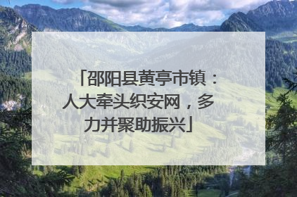 邵阳县黄亭市镇：人大牵头织安网，多力并聚助振兴