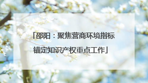 邵阳：聚焦营商环境指标 锚定知识产权重点工作