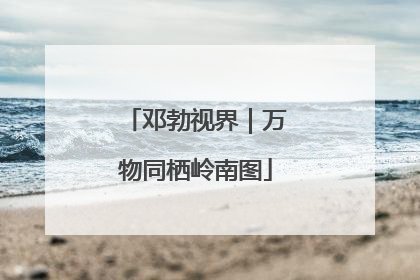 邓勃视界｜万物同栖岭南图