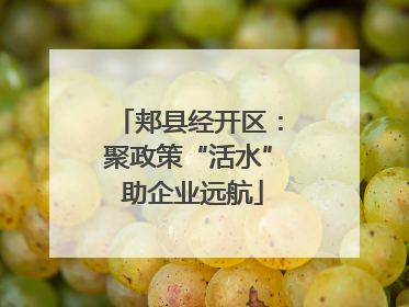 郏县经开区：聚政策“活水” 助企业远航