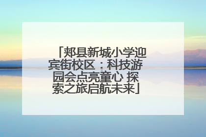 郏县新城小学迎宾街校区：科技游园会点亮童心 探索之旅启航未来