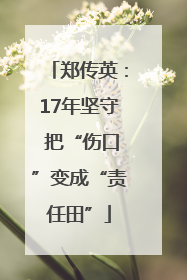 郑传英：17年坚守 把“伤口”变成“责任田”
