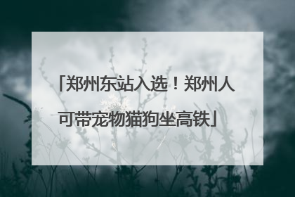 郑州东站入选！郑州人可带宠物猫狗坐高铁