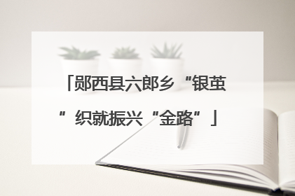 郧西县六郎乡“银茧”织就振兴“金路”
