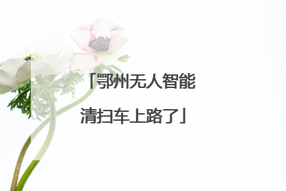 鄂州无人智能清扫车上路了