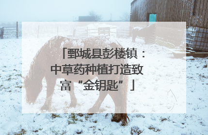 鄄城县彭楼镇：中草药种植打造致富“金钥匙”
