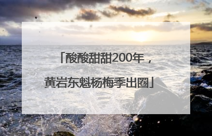 酸酸甜甜200年，黄岩东魁杨梅季出圈