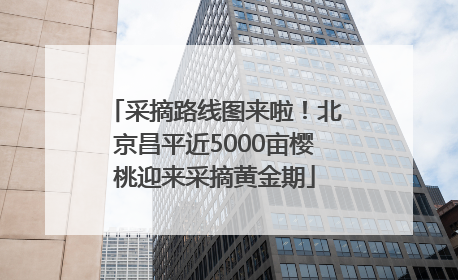 采摘路线图来啦！北京昌平近5000亩樱桃迎来采摘黄金期