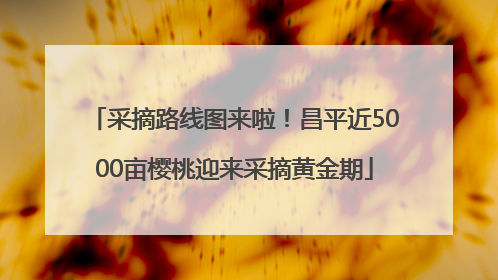 采摘路线图来啦！昌平近5000亩樱桃迎来采摘黄金期
