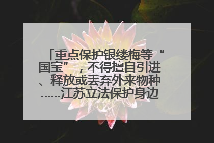 重点保护银缕梅等“国宝”，不得擅自引进、释放或丢弃外来物种……江苏立法保护身边的生物“朋友圈”