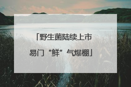 野生菌陆续上市 易门“鲜”气爆棚