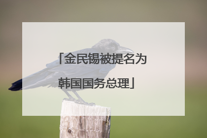 金民锡被提名为韩国国务总理