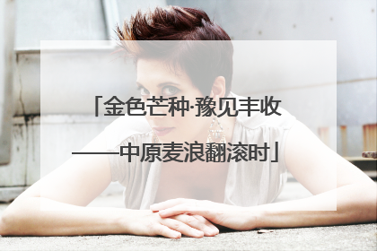 金色芒种·豫见丰收——中原麦浪翻滚时