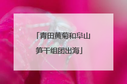 青田黄菊和阜山笋干组团出海