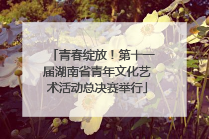 青春绽放！第十一届湖南省青年文化艺术活动总决赛举行