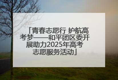 青春志愿行 护航高考梦——和平团区委开展助力2025年高考志愿服务活动