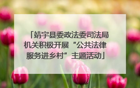 靖宇县委政法委司法局机关积极开展“公共法律服务进乡村”主题活动
