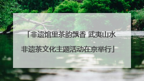 非遗馆里茶韵飘香 武夷山水非遗茶文化主题活动在京举行