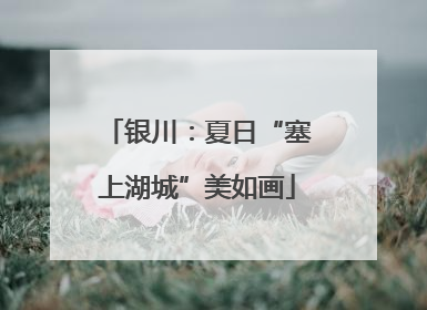 银川：夏日“塞上湖城”美如画