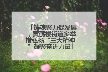 铸魂聚力促发展，黄鹤楼街道多举措弘扬“三大精神”凝聚奋进力量