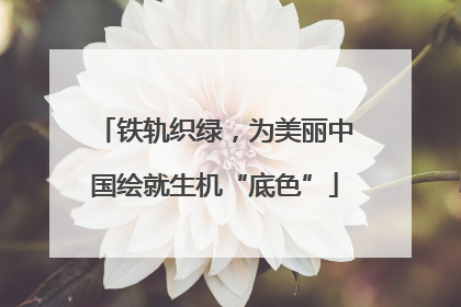 铁轨织绿，为美丽中国绘就生机“底色”