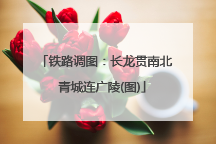 铁路调图：长龙贯南北 青城连广陵(图)
