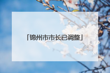 锦州市市长已调整